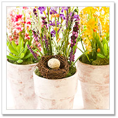 Easter and Spring Table Decor
