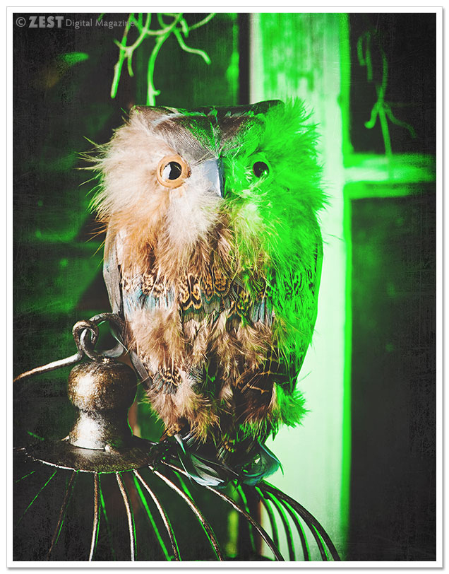 Voodoo On The Bayou Halloween Decor - Owl