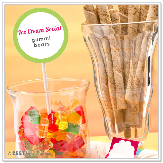 Plan an Ice Cream Social with Ice Cream Recipes, Free Printables and a Giveaway