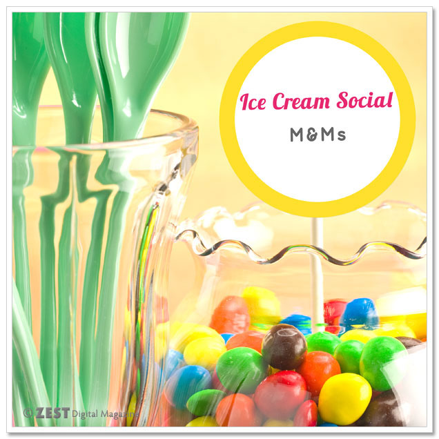 Plan an Ice Cream Social with Ice Cream Recipes, Free Printables and a Giveaway
