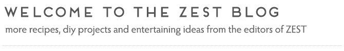 Welcome to the ZEST Blog